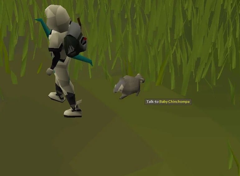 Baby Chinchompa