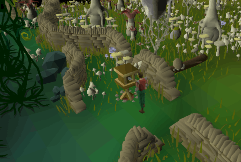 Birdhouse OSRS Guide [2022] What's The Bird on The Street? Rune Fanatics